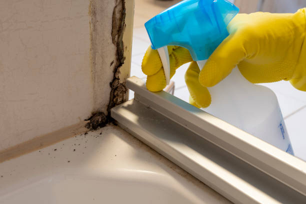 Best HVAC Mold Remediation in Tenafly, NJ